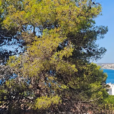 Junto A La Playa Del Cristo, Cerca Del Puerto Apartman *